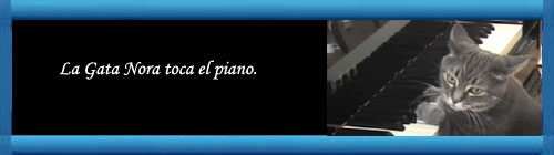 CATcerto. ORIGINAL PERFORMANCE. La gata Nora toca el Piano acompaada por una orquesta. Por Mindaugas Piecaitis. cubademocraciayvida.org web/folder.asp?folderID=136