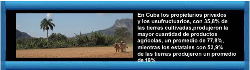 http://cubademocraciayvida.org/web/article.asp?artID=37035