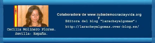 ART�CULOS: "La visita del Papa a Cuba y el nuevo seminario". // "La �ltima biograf�a del Comandante". Por Cecilia Molinero Flores. web/folder.asp?folderID=136