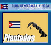 PLANTADOS
