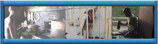 CUBA VIDEO: "Seleccion Natural", un documental de Cynthia Cazaas Garn. "Si as tratan en Cuba a los perros, gatos y otros indefensos animalitos, peor tratan a los pobres y sufridos cubanos de a pie... cubademocraciayvida.org web/folder.asp?folderID=136