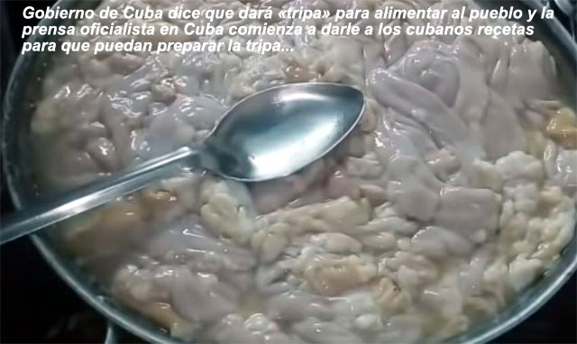 COSAS DE CUBA PARA REIR VIDEO VIRAL: La reaccin de un cubano pescador pescador al "sobrecumplimiento" de la langosta en Cuba.          cubademocraciayvida.org                                                                                                                                                                                              web/folder.asp?folderID=136 