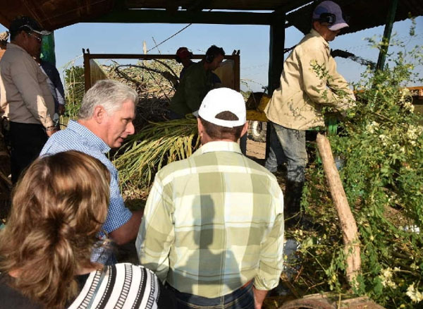 http://www.cubademocraciayvida.org/web/article.asp?artID=46169