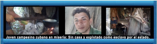 http://www.cubademocraciayvida.org/web/article.asp?artID=46410