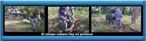 web/article.asp?artID=54484