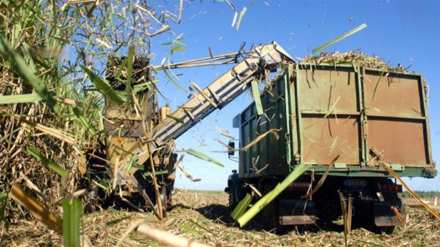 http://www.cubademocraciayvida.org/web/article.asp?artID=55365
