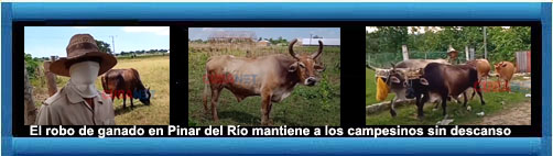 web/article.asp?artID=55474