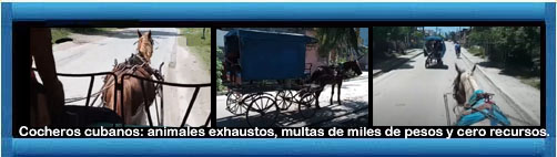 web/article.asp?artID=55779